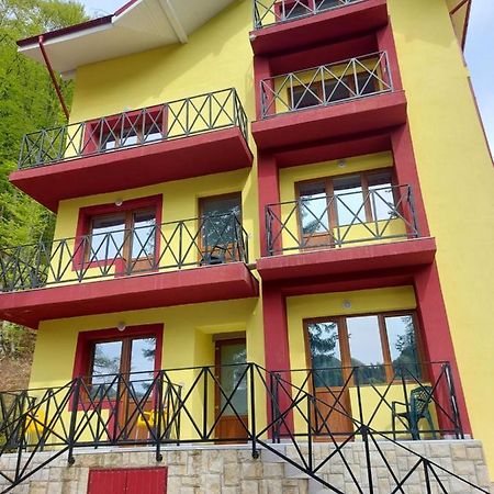 Hotel Vila Ioana Slănic-Moldova Zewnętrze zdjęcie