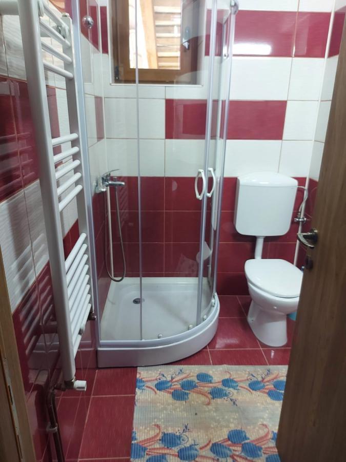 Hotel Vila Ioana Slănic-Moldova Zewnętrze zdjęcie