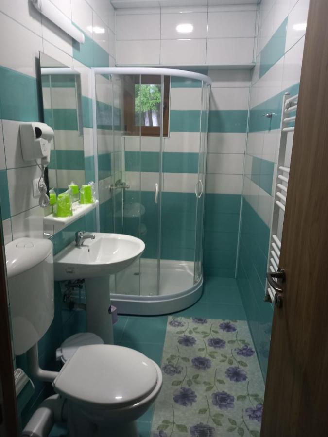 Hotel Vila Ioana Slănic-Moldova Zewnętrze zdjęcie