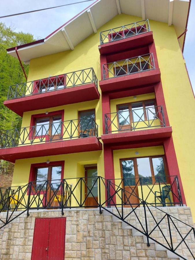 Hotel Vila Ioana Slănic-Moldova Zewnętrze zdjęcie